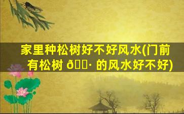 家里种松树好不好风水(门前有松树 🌷 的风水好不好)